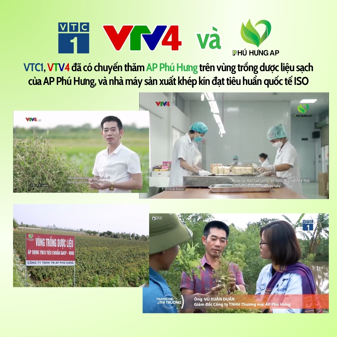 Trà Bồ Công Anh - Ảnh 3