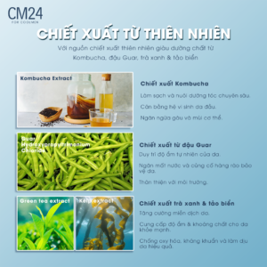 Alternative view of Tắm gội nam 2in1 hương nước hoa CM24 500ml